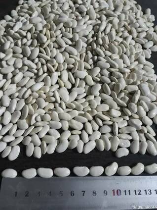 Export type white 8 and 9 (peeled, sorted)