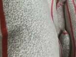Export type white 8 and 9 (peeled, sorted) - фото 5