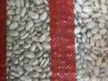 Export type white 8 and 9 (peeled, sorted) - фото 6