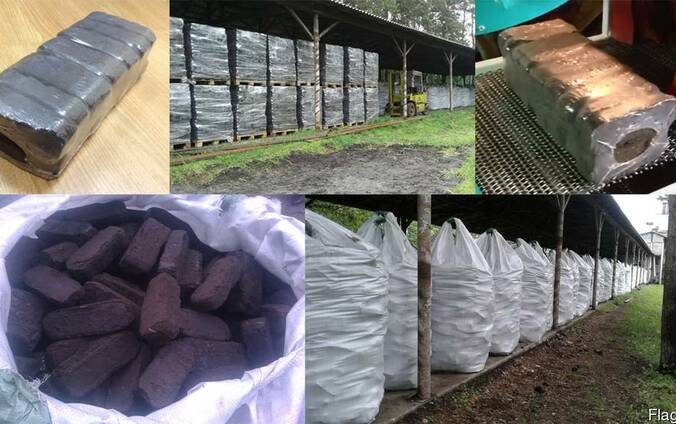 Fuel peat briquettes (peat bricks)