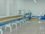 Линия для производства сахара-рафинада 12,5 тонн/сутки - фото 1