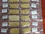 Макароны. Pasta - фото 1
