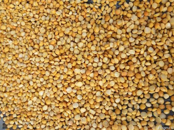 Продам горох колотый желтый