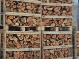 Apple tree firewood - фото 1