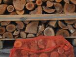 Apple tree firewood - фото 2