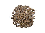 Seeds original sunflower seeds Wholesale Dried Sunflower Kernels - фото 2