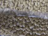 Cashew Nuts from Vietnam - photo 1