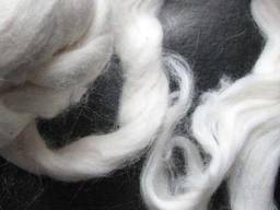 Cotton fiber and cotton lint from Turkmenistan