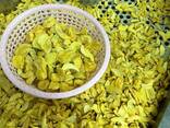 Dondurularak kurutulmuş meyveler toptan - photo 5