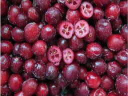 Dondurulmuş orman meyveleri, meyveler, orman meyvesi-meyve ve komposto karışımları.