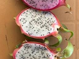 Dragon Fruit (White) Dragon Fruit (Red)