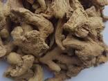 Dry Whole Ginger from Vietnam - photo 2