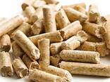Good Quality Competitive Price Eco-Friendly solid fuel Wood Pellets wood pellets wholesale - фото 1