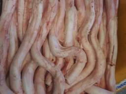 Endokrin Enzim Hammaddeleri