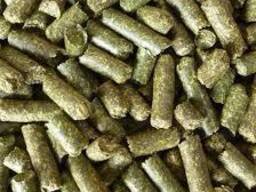 Enplus A1 Wood pellets