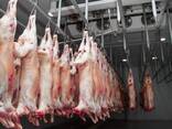 Et ihracatı - photo 3