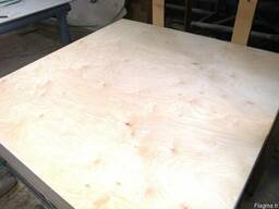 Birch plywood 1525 х 1525 мм (WBP) (MR )