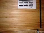 Birch plywood 1525 х 1525 мм (WBP) (MR ) - фото 1