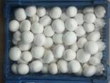 Fresh quality champignons from Poland - photo 3