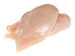 Halal Frozen boneless Chicken Breast - фото 1