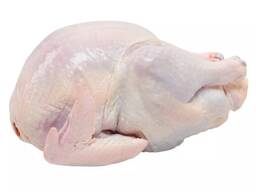 Frozen Chicken for sale Halal Frozen Whole Chicken