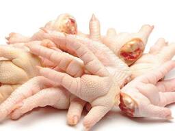 Frozen Chicken Paw