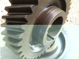 Gearwheel, gear, staft gear, toothed crown, gear box - photo 2