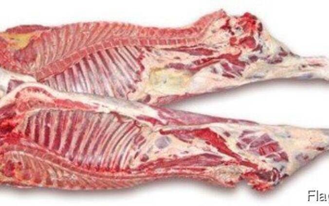 Говядина , баранина , мясо птицы, Халяль