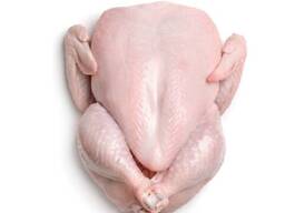 Halal Frozen Whole Chicken/ Chicken Feet/ Frozen Chicken wings