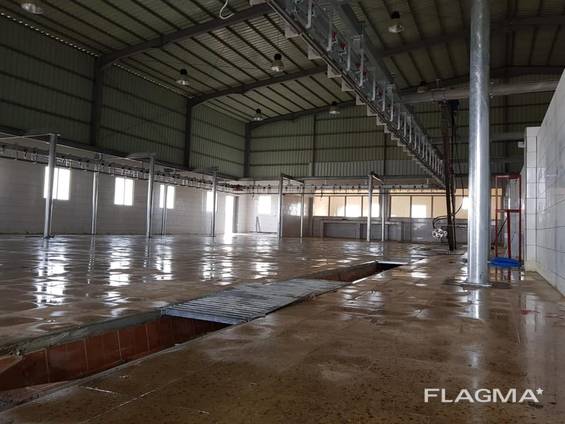 Халяль Убойный Цех для Баранин