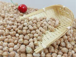 Kabuli Chickpeas 7mm 8mm 9mm Dried Desi White in Bulk Tank Packaging - photo 1