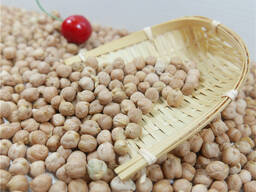 Bulk Organic 9mm Kabuli Chick Peas Non-GMO and Rich in Protein Dried 25kg Belgium