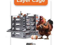 Layer Cages