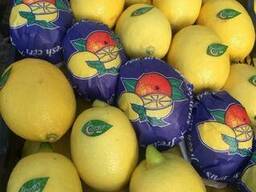 Lemon