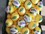 Лимоны из солнечной Турции