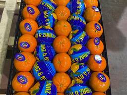 Мандарин Murkott