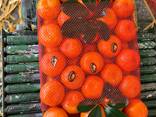 Мандарин нова - фото 3
