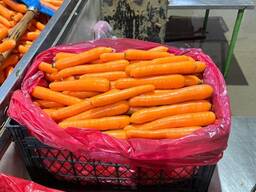 Морковь на экспорт из Турции