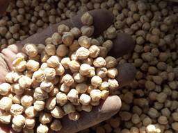 Нут Продовольственный