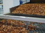 «NutStar» - a leading walnut factory in Ukraine for SALE