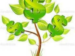 Ольха, береза, осина