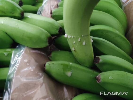 Из Турции оптом продажа бананов !!!!