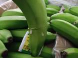 Из Турции оптом продажа бананов !!!! - фото 5