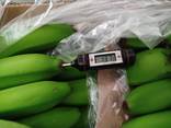 Из Турции оптом продажа бананов !!!! - фото 7