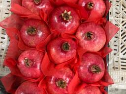 Оптовая продажа овощей и фруктов