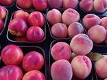 Peach - фото 3