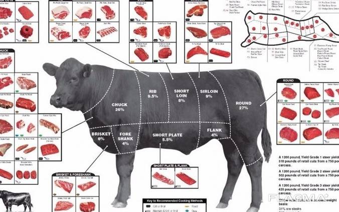 Продам говядину оптом