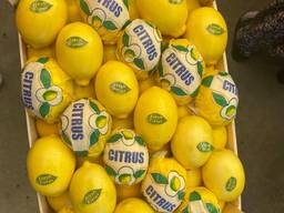 Продам лимон Enter (пр-во Турция)