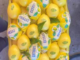 Продам лимон Mayer (пр-во Турция)