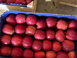 Продам Яблоки